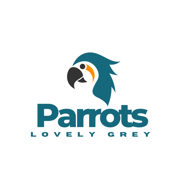 Lovely Grey Parrots